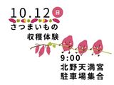 10月12日（日）「さつまいも収穫体験」のご案内【文化・スポーツ部、農協青年部北野支部】